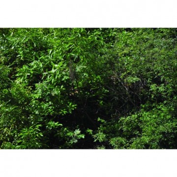 Guide IR-510 P Thermische Camera