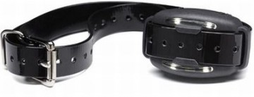 Big Leash extra halsband ontvanger