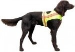 Hond veiligheids vest large