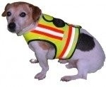 Hond veiligheids vest