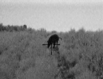 Pulsar nacht richtkijker Digisight N750