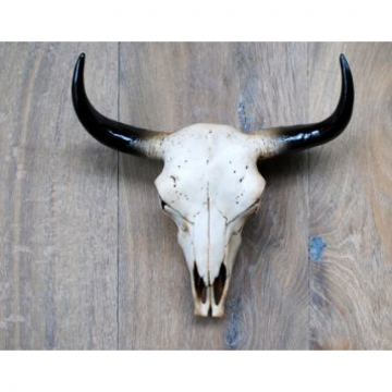 Trofee os imitatie 31,5x11xh29,5 cm naturel