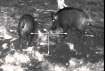 Yukon nacht richtkijker 6.5x50 S Photon XT